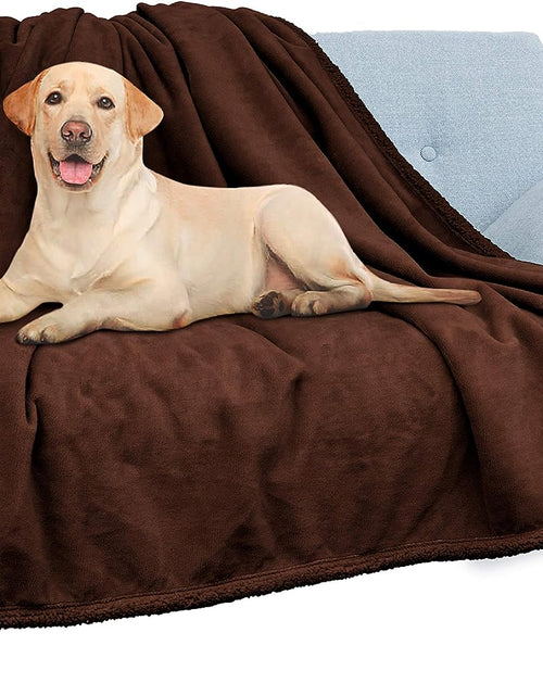 Load image into Gallery viewer, Waterproof Blanket for Couch, Sofa | Waterproof Dog Blanket for Large Dog, Puppy, Cat | Pet Blanket Protector | Plush Soft Warm Fuzzy Sherpa Blanket Bed Throw, Brown, 60X80
