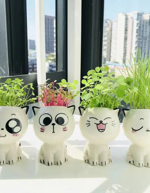 Load image into Gallery viewer, 1pc Ceramic Flowerpot Mini Cat Cartoon Cute Plant Desktop Potted Plant Pot DIY Decorate Toys Science Education School Gifts
