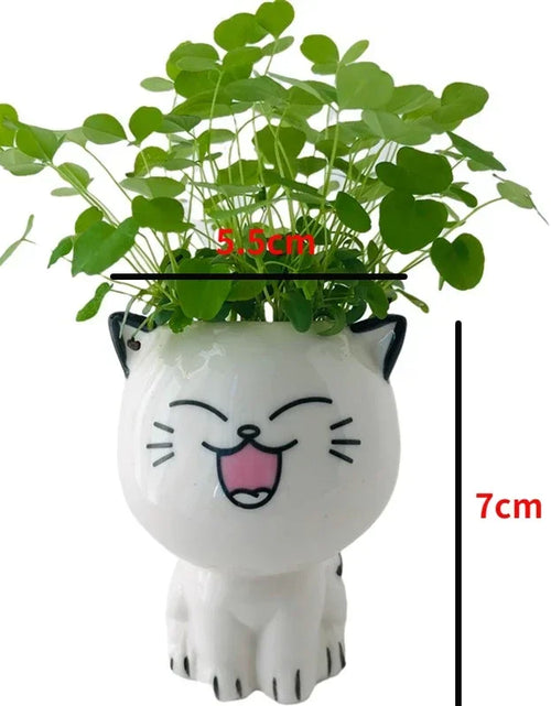 Load image into Gallery viewer, 1pc Ceramic Flowerpot Mini Cat Cartoon Cute Plant Desktop Potted Plant Pot DIY Decorate Toys Science Education School Gifts
