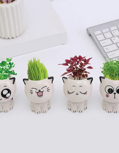 Load image into Gallery viewer, 1pc Ceramic Flowerpot Mini Cat Cartoon Cute Plant Desktop Potted Plant Pot DIY Decorate Toys Science Education School Gifts
