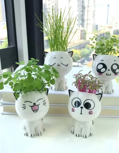 Load image into Gallery viewer, 1pc Ceramic Flowerpot Mini Cat Cartoon Cute Plant Desktop Potted Plant Pot DIY Decorate Toys Science Education School Gifts
